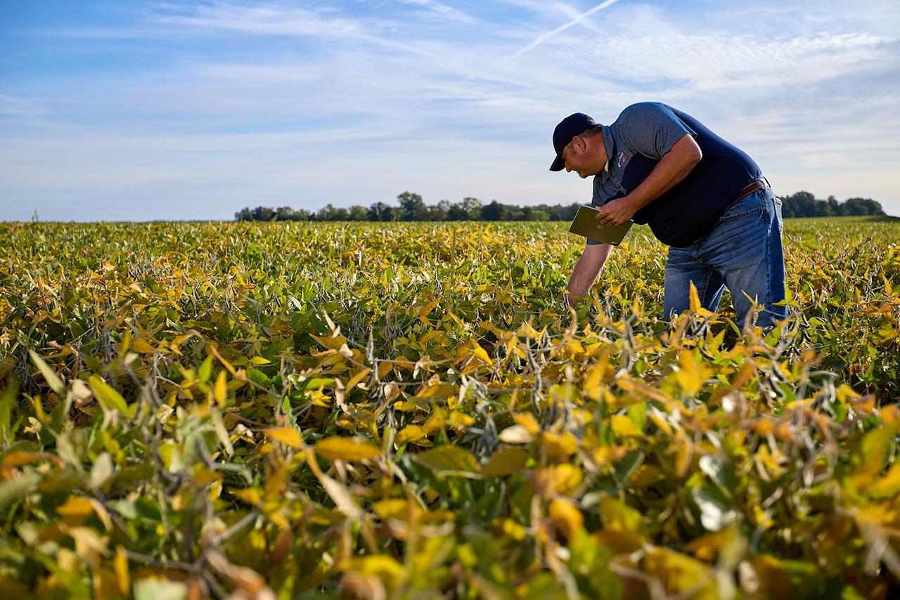Agronomy