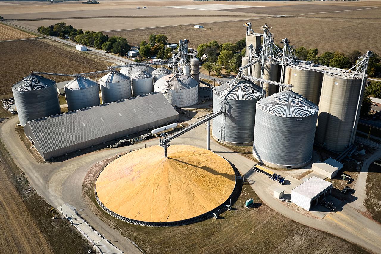 Grain